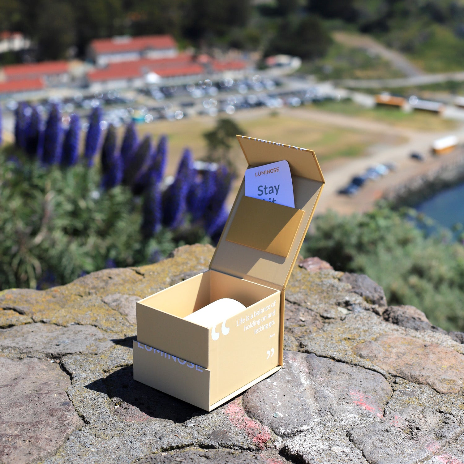 Reasons Why Candles Make a Great Gift Luminose