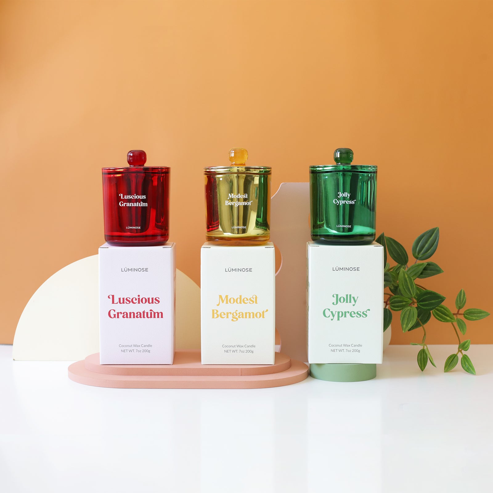 Holiday Bundle – Luminose