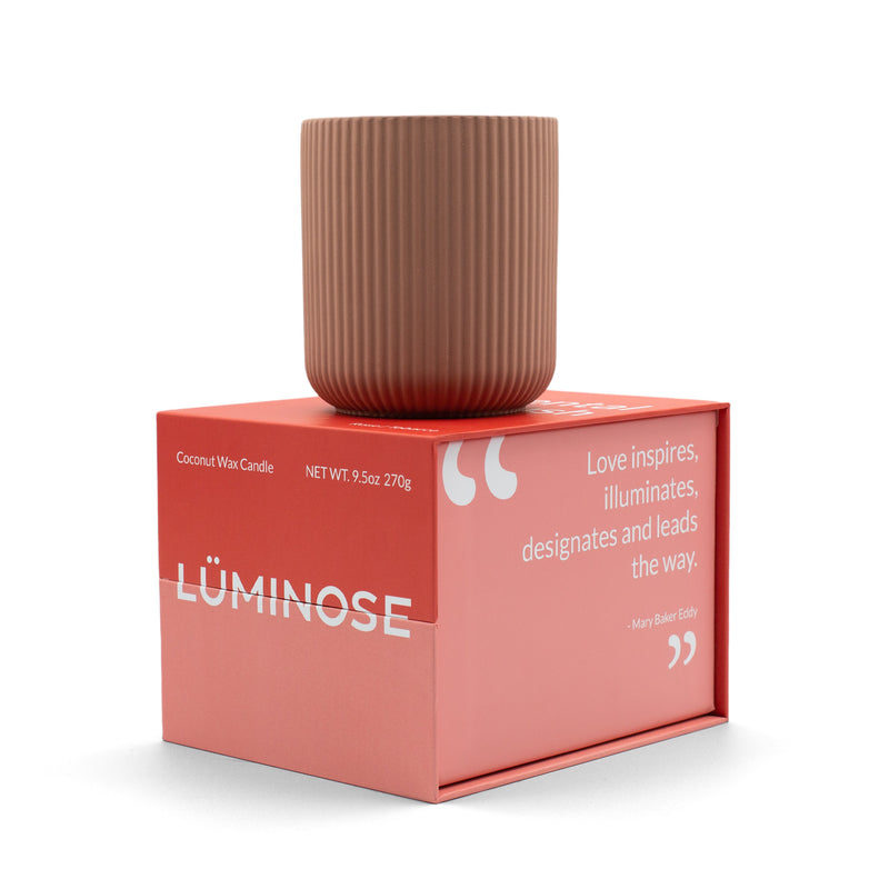 Luminose coconut wax candle Accidental Crush