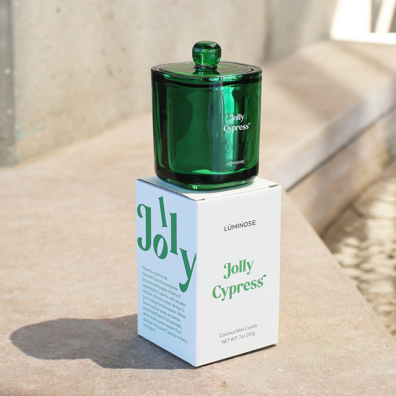 Jolly Cypress | Scented Coconut Wax Candle – Luminose